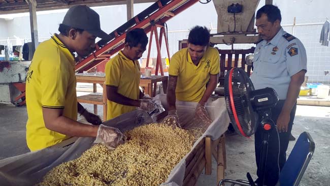 PROSES : Warga Lapas Jember sedang pelatihan Pembuatan Tempe (Yud)