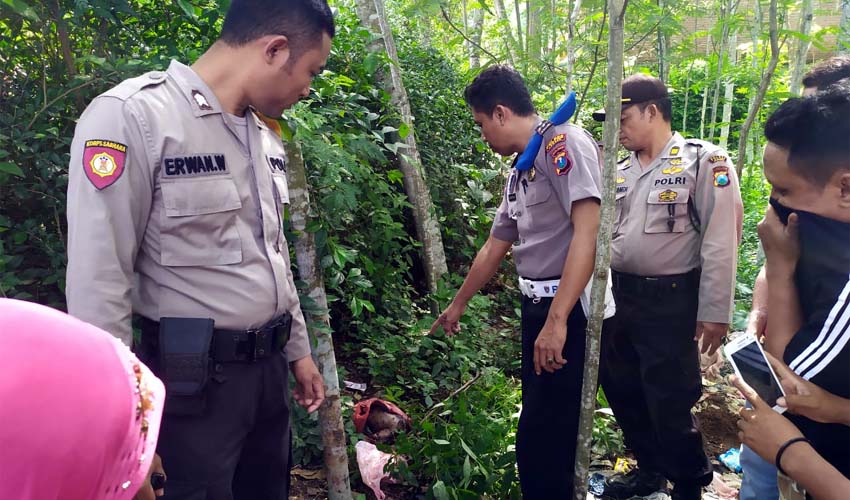 Kondisi sesosok jasad bayi membusuk saat ditemukan. (ist)