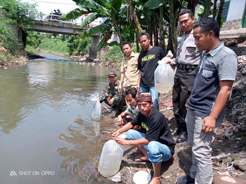 Pemasangan Papan Nama dan Pelepasan ribuan benih ikan di sungai Ajung