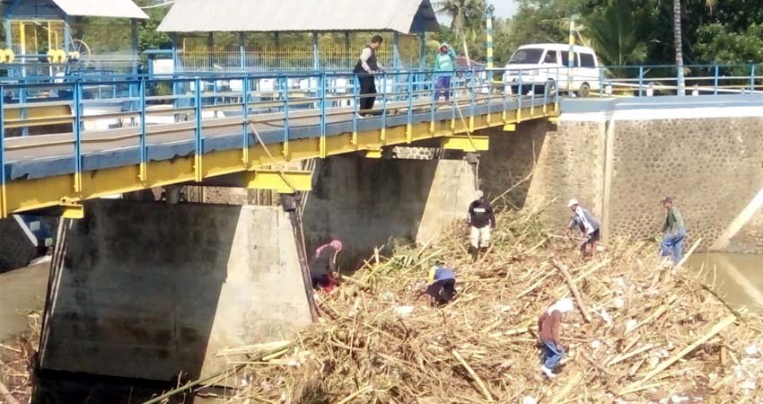 Petugas pengairan Kencong membersihkan sampah di DAM Pondokwaluh l. (bud)