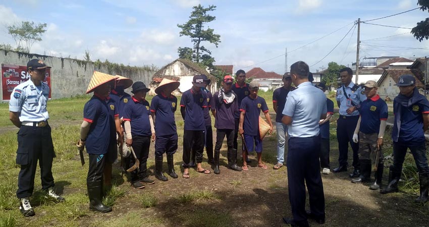 Petugas Lapas awasi warga binaan Lapas Kelas II A Jember sedang membersihkan rerimbunan pohon dan rumput. (ist)