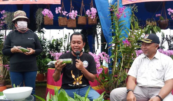 Bunga Anggrek Kembali Mendapat Tempat di Masyarakat Jember