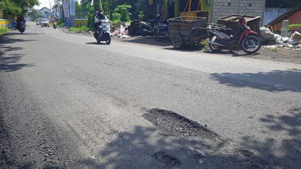 Peningkatan Jalan di Kecamatan Ambulu Jember Tuai Sorotan, Baru Rampung Sudah Rusak Lagi