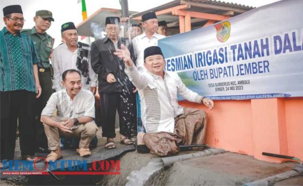 Antisipasi El Nino, Pemkab Jember Siapkan Irigasi Tanah Dalam